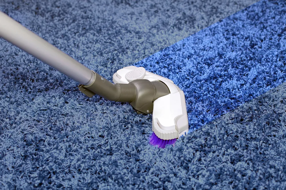 Factors Affect the Cost of Carpet Cleaning