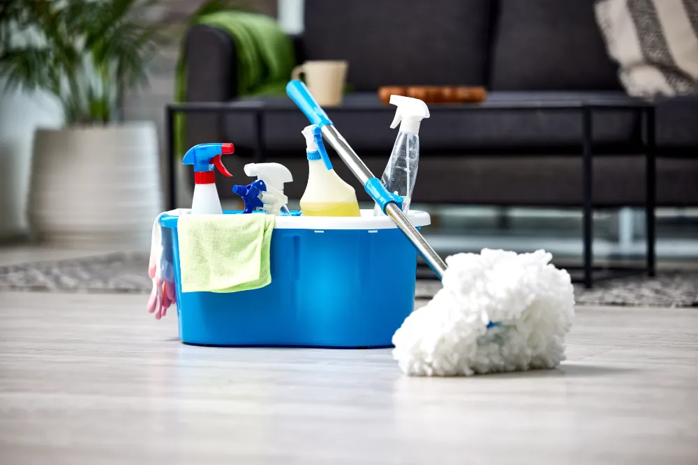 House Cleaning
