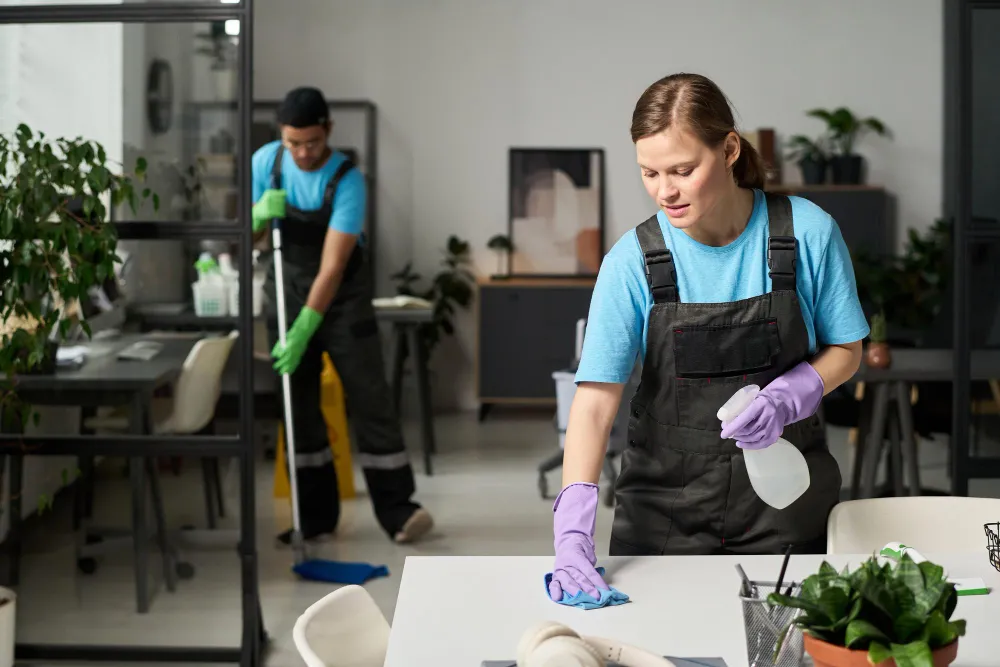 Why Professional Cleaning Services Are Worth It