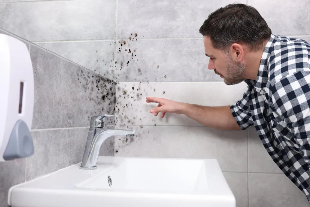 Prevent Mold in the Bathroom