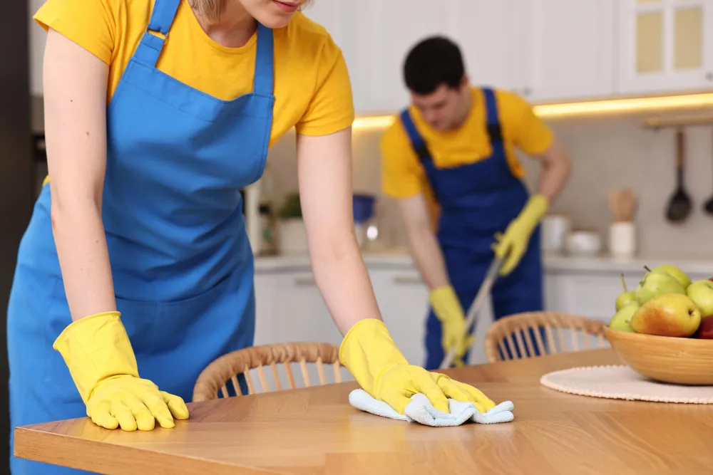 Professional Kitchen Cleaning Services