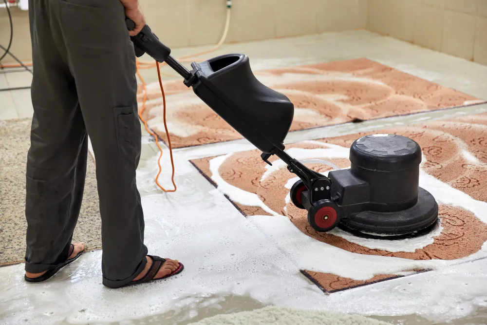 Steam Cleaning Carpets vs. Shampooing