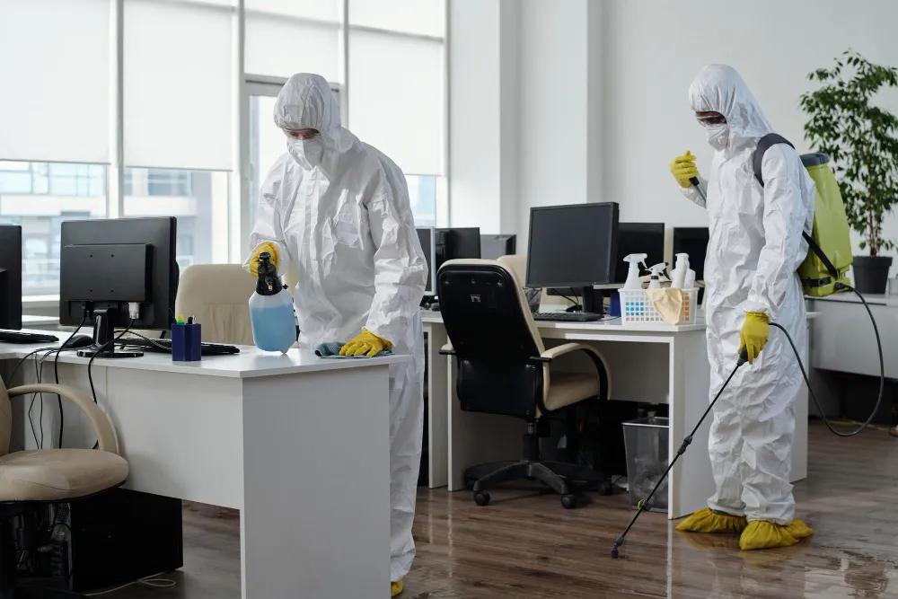 Desk & Workstation Disinfecting