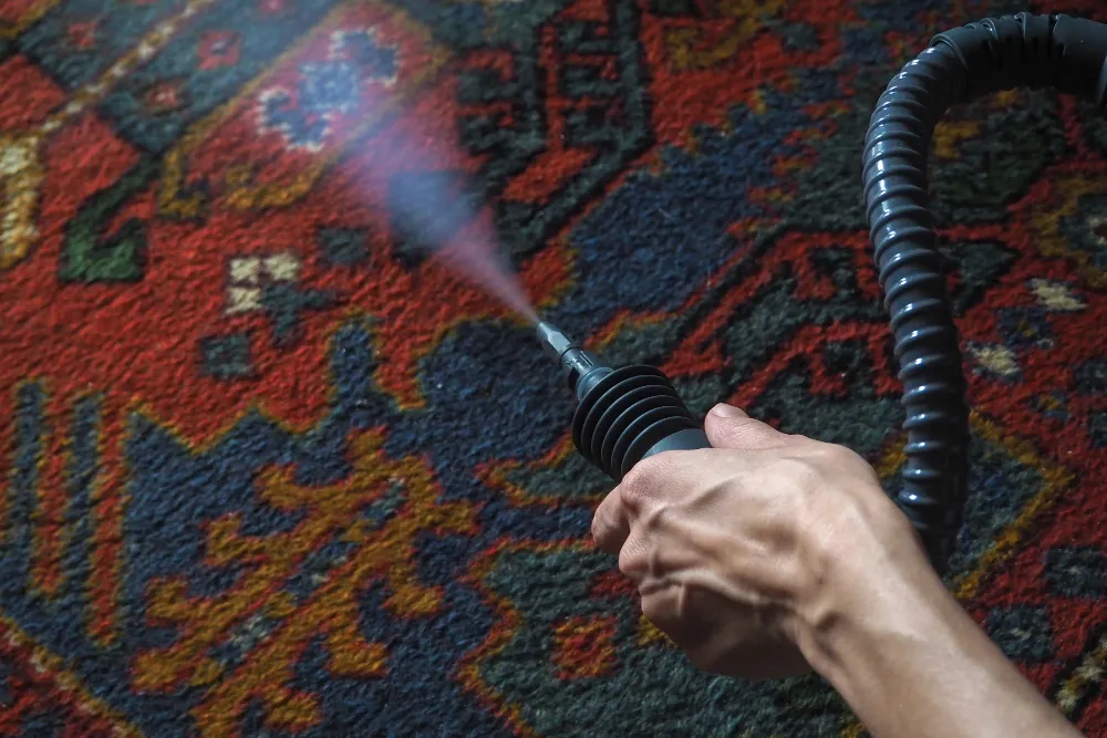 Carpet Cleaning Method