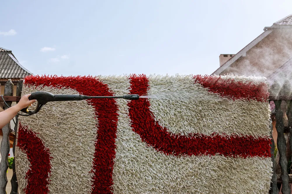 Carpet to Dry After Cleaning
