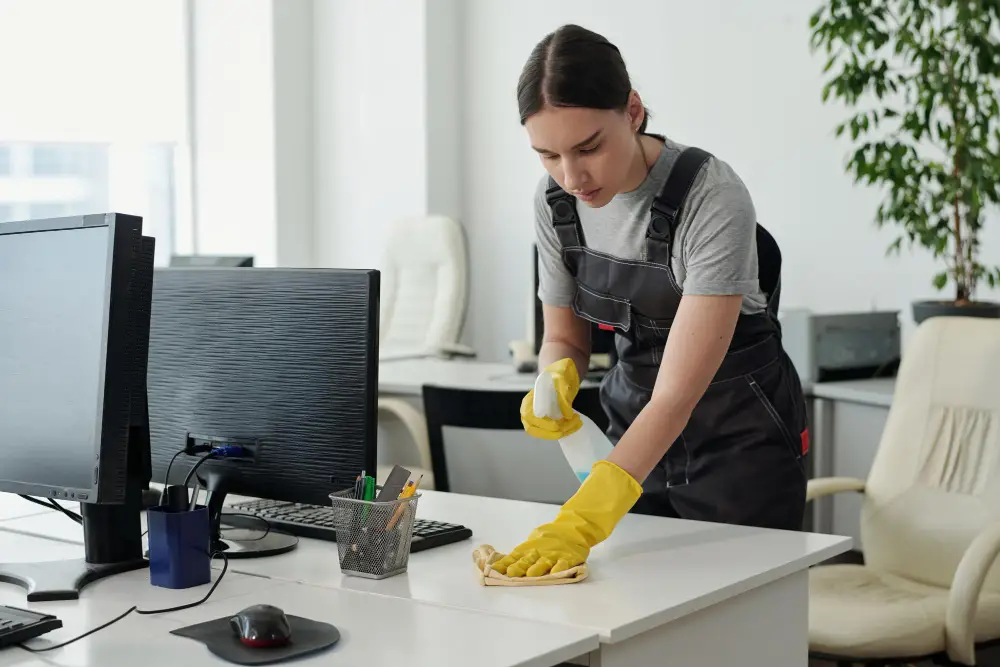 Professional Cleaning Services